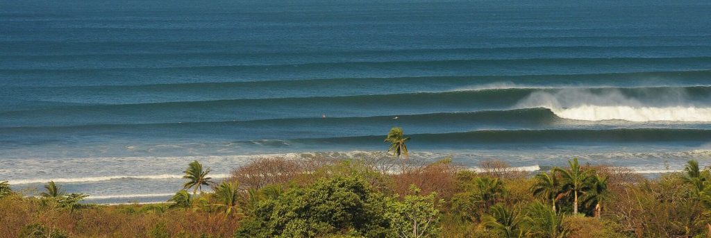 Wildlife Areas in Nosara, Costa Rica