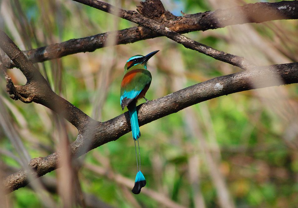 Nosara Costa Rica